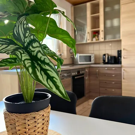 Apartamento Geraeumige Mit Balkon - Zentral - Kostenloses Parken *