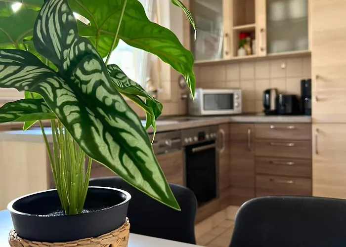 Appartement Geraeumige Mit Balkon - Zentral - Kostenloses Parken *